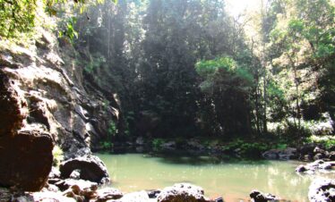Agumbe – Tour